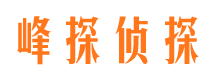 二七资产调查